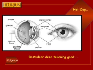 Het Oog.. Bestudeer deze tekening goed... 