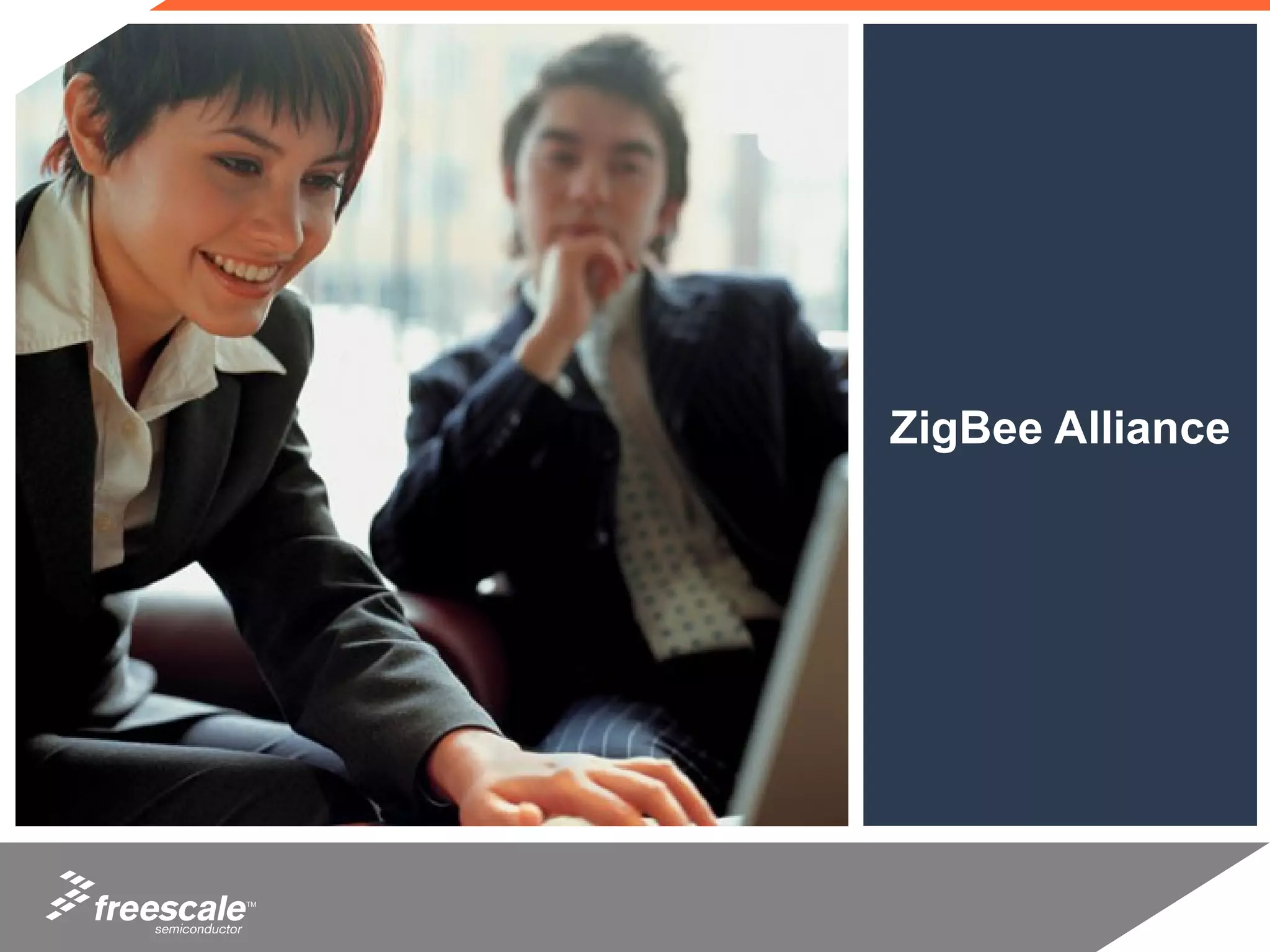 ZigBee Alliance




TM
 