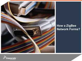 How a ZigBee
     Network Forms?




TM
 