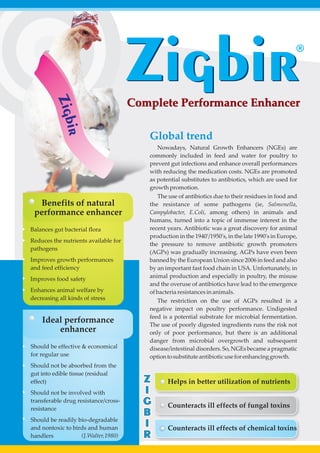 Z i gb
               ir
                                      Zigbir
                                      Complete Performance Enhancer

                                         Global trend
                                            Nowadays, Natural Growth Enhancers (NGEs) are
                                         commonly included in feed and water for poultry to
                                         prevent gut infections and enhance overall performances
                                         with reducing the medication costs. NGEs are promoted
                                         as potential substitutes to antibiotics, which are used for
                                         growth promotion.
                                            The use of antibiotics due to their residues in food and
  Benefits of natural                    the resistance of some pathogens (ie, Salmonella,
 performance enhancer                    Campylobacter, E.Coli, among others) in animals and
                                         humans, turned into a topic of immense interest in the
Balances gut bacterial flora             recent years. Antibiotic was a great discovery for animal
                                         production in the 1940'/1950's, in the late 1990's in Europe,
Reduces the nutrients available for
                                         the pressure to remove antibiotic growth promoters
pathogens
                                         (AGPs) was gradually increasing. AGPs have even been
Improves growth performances             banned by the European Union since 2006 in feed and also
and feed efficiency                      by an important fast food chain in USA. Unfortunately, in
Improves food safety                     animal production and especially in poultry, the misuse
                                         and the overuse of antibiotics have lead to the emergence
Enhances animal welfare by               of bacteria resistances in animals.
decreasing all kinds of stress              The restriction on the use of AGPs resulted in a
                                         negative impact on poultry performance. Undigested
                                         feed is a potential substrate for microbial fermentation.
    Ideal performance                    The use of poorly digested ingredients runs the risk not
        enhancer                         only of poor performance, but there is an additional
                                         danger from microbial overgrowth and subsequent
Should be effective & economical         disease/intestinal disorders. So, NGEs became a pragmatic
for regular use                          option to substitute antibiotic use for enhancing growth.
Should not be absorbed from the
gut into edible tissue (residual
effect)                                 Z
Should not be involved with             I
transferable drug resistance/cross-     G
resistance
                                        B
Should be readily bio-degradable
and nontoxic to birds and human
                                        I       Counteracts ill effects of chemical toxins
handlers           (J.Walter,1980)      R
 