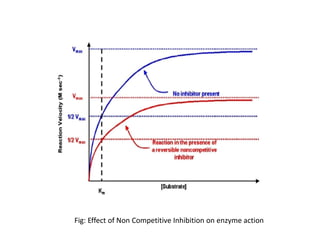 Enzyme notes for biology for engineering | PDF