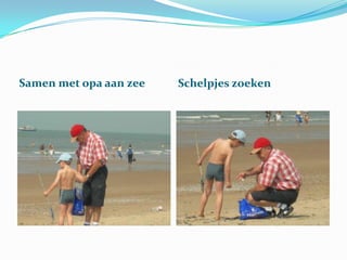 Samen met opa aan zee

Schelpjes zoeken

 