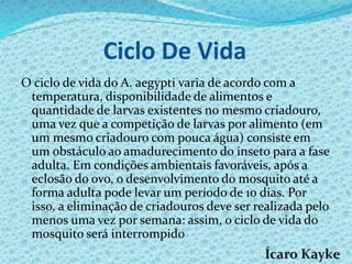 Ciclo De Vida
O ciclo de vida do A. aegypti varia de acordo com a
temperatura, disponibilidade de alimentos e
quantidade de larvas existentes no mesmo criadouro,
uma vez que a competição de larvas por alimento (em
um mesmo criadouro com pouca água) consiste em
um obstáculo ao amadurecimento do inseto para a fase
adulta. Em condições ambientais favoráveis, após a
eclosão do ovo, o desenvolvimento do mosquito até a
forma adulta pode levar um período de 10 dias. Por
isso, a eliminação de criadouros deve ser realizada pelo
menos uma vez por semana: assim, o ciclo de vida do
mosquito será interrompido
 