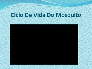 Ciclo De Vida Do Mosquito
 