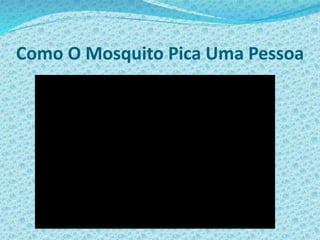 Como O Mosquito Pica Uma Pessoa
 