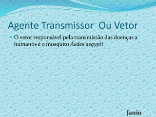 Agente Transmissor Ou Vetor
 O vetor responsável pela transmissão das doenças a
humanos é o mosquito Aedes aegypti
 