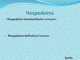 Hospedeiros
 Hospedeiro intermediário: mosquito
 Hospedeiro definitivo: homem
 