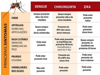 Zika