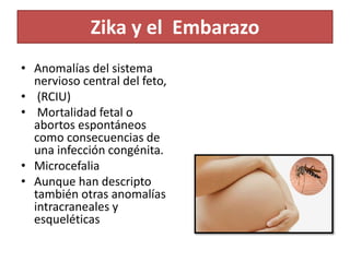Zika y el Embarazo
• Anomalías del sistema
nervioso central del feto,
• (RCIU)
• Mortalidad fetal o
abortos espontáneos
como consecuencias de
una infección congénita.
• Microcefalia
• Aunque han descripto
también otras anomalías
intracraneales y
esqueléticas
 
