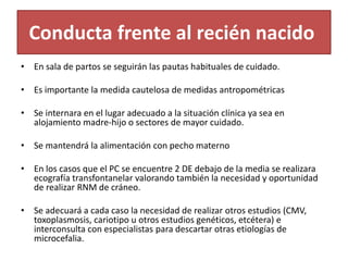 Conducta frente al recién nacido
• En sala de partos se seguirán las pautas habituales de cuidado.
• Es importante la medida cautelosa de medidas antropométricas
• Se internara en el lugar adecuado a la situación clínica ya sea en
alojamiento madre-hijo o sectores de mayor cuidado.
• Se mantendrá la alimentación con pecho materno
• En los casos que el PC se encuentre 2 DE debajo de la media se realizara
ecografía transfontanelar valorando también la necesidad y oportunidad
de realizar RNM de cráneo.
• Se adecuará a cada caso la necesidad de realizar otros estudios (CMV,
toxoplasmosis, cariotipo u otros estudios genéticos, etcétera) e
interconsulta con especialistas para descartar otras etiologías de
microcefalia.
 