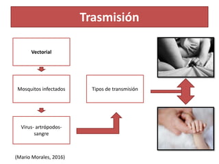 Trasmisión
Vectorial
Mosquitos infectados
Virus- artrópodos-
sangre
Tipos de transmisión
(Mario Morales, 2016)
 