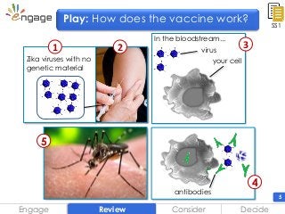 5
SS1
Engage DecideReview
Play: How does the vaccine work?
virus
your cell
3
In the bloodstream...
5
2
Consider
antibodies
4
Zika viruses with no
genetic material
1
 