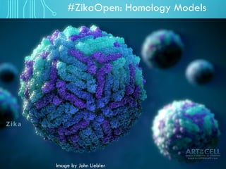 #ZikaOpen: Homology Models
Image by John Liebler
 