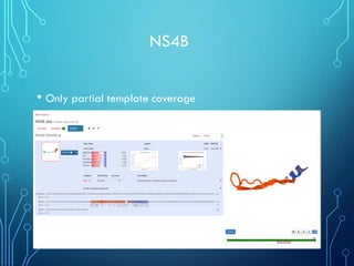 NS4B
• Only partial template coverage
 