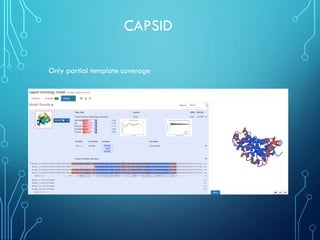 CAPSID
Only partial template coverage
 