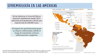 EPIDEMIOLOGÍA EN LAS AMÉRICAS
Faria NR, Azevedo RDSDS, Kraemer MUG, Souza R, Cunha MS, Hill SC, et al. Zika virus in the
Americas: Early epidemiological and genetic findings. Science. 2016;352(6283):345-9.
En las Américas, el virus del Zika se
diseminó rápidamente desde 2015,
afectando principalmente a Brasil, que
reportó más de 200,000 casos.
El impacto fue particularmente grave
en mujeres embarazadas, debido al
riesgo de transmisión vertical y
malformaciones congénitas.
 