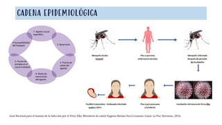CADENA EPIDEMIOLÓGICA
Guía Nacional para el manejo de la Infección por el Virus Zika. Ministerio de salud; Eugenio Renato Yucra Lizarazu. Coaut. La Paz: Dorismac, 2016.
 