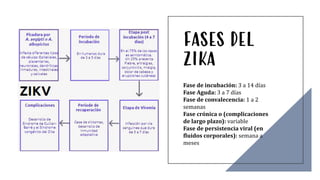 FASES DEL
ZIKA
Fase de incubación: 3 a 14 días
Fase Aguda: 3 a 7 días
Fase de convalecencia: 1 a 2
semanas
Fase crónica o (complicaciones
de largo plazo): variable
Fase de persistencia viral (en
fluidos corporales): semana a
meses
 
