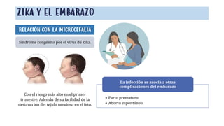 ZIKA Y EL EMBARAZO
RELACIÓN CON LA MICROCEFALIA
Síndrome congénito por el virus de Zika.
• Parto prematuro
• Aborto espontáneo
La infección se asocia a otras
complicaciones del embarazo
Con el riesgo más alto en el primer
trimestre. Además de su facilidad de la
destrucción del tejido nervioso en el feto.
 