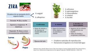 zika
Picadura de un mosquito de la
especie Aedes
A. aegypti
A. albopictus
Durante ➔ día y noche
• A. africanus
• A. apicoargenteus
• A. luteocephalus
• A. vitattus
• A. furcifer
A. africanus
• Hojas de árboles y
de macetas de
bambú (80cm del
suelo)
A. vitattus
• Aguas de letrinas y
fosas sépticas ricas
en amoníaco y
nitrato
A. furcifer y A.
luteocephalus
• Agujeros de los árboles
y de pudrición con
bambú
• Tallos de bambú y
recipientes artificiales
Aparece y reaparece ➔
Américas
Depende ➔ clima y otras
circunstancias ambientales
Épocas del año • Criaderos naturales de reproducción
• Variaciones irregulares en el nivel del agua
Velásquez Serra, Glenda; Ramos García, Celso; Soria Segarra, Carmen; Estallo, Elizabet Lilia; Stewart Ibarra,
Anna; et al.; Arbovirosis de importancia en las regiones tropicales; CIDEPRO Editorial; 1; 2020; 252
 