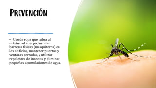 Prevención
• Uso de ropa que cubra al
máximo el cuerpo, instalar
barreras físicas (mosquiteros) en
los edificios, mantener puertas y
ventanas cerradas, y utilizar
repelentes de insectos y eliminar
pequeñas acumulaciones de agua.
 