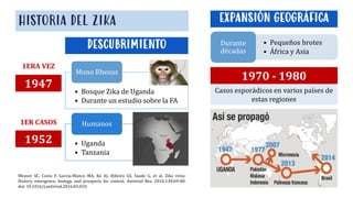 HISTORIA DEL SIKA
• Bosque Zika de Uganda
• Durante un estudio sobre la FA
Mono Rhesus
• Uganda
• Tanzania
Humanos
HISTORIA DEL ZIKA
DESCUBRIMIENTO
EXPANSIÓN GEOGRÁFICA
1ERA VEZ
1ER CASOS
1947
1952
• Pequeños brotes
• África y Asia
Durante
décadas
1970 - 1980
Casos esporádicos en varios países de
estas regiones
Weaver SC, Costa F, Garcia-Blanco MA, Ko AI, Ribeiro GS, Saade G, et al. Zika virus:
History, emergence, biology, and prospects for control. Antiviral Res. 2016;130:69-80.
doi: 10.1016/j.antiviral.2016.03.010.
 