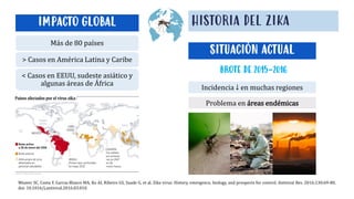 Más de 80 países
> Casos en América Latina y Caribe
< Casos en EEUU, sudeste asiático y
algunas áreas de África
HISTORIA DEL ZIKA
IMPACTO GLOBAL
Weaver SC, Costa F, Garcia-Blanco MA, Ko AI, Ribeiro GS, Saade G, et al. Zika virus: History, emergence, biology, and prospects for control. Antiviral Res. 2016;130:69-80.
doi: 10.1016/j.antiviral.2016.03.010.
SITUACIÓN ACTUAL
BROTE DE 2015-2016
Incidencia ↓ en muchas regiones
Problema en áreas endémicas
 