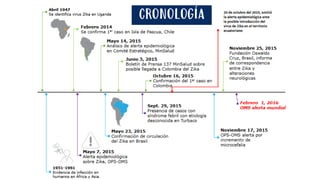 CRONOLOGÍA
 