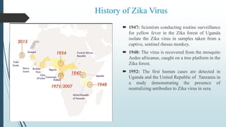 History of Zika Virus
 1947: Scientists conducting routine surveillance
for yellow fever in the Zika forest of Uganda
isolate the Zika virus in samples taken from a
captive, sentinel rhesus monkey.
 1948: The virus is recovered from the mosquito
Aedes africanus, caught on a tree platform in the
Zika forest.
 1952: The first human cases are detected in
Uganda and the United Republic of Tanzania in
a study demonstrating the presence of
neutralizing antibodies to Zika virus in sera.
 