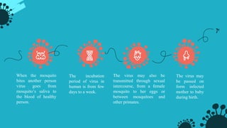 The incubation
period of virus in
human is from few
days to a week.
The virus may also be
transmitted through sexual
intercourse, from a female
mosquito to her eggs or
between mosquitoes and
other primates.
The virus may
be passed on
form infected
mother to baby
during birth.
When the mosquito
bites another person
virus goes from
mosquito’s saliva to
the blood of healthy
person.
 