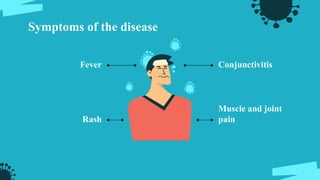 Symptoms of the disease
Fever
Rash
Conjunctivitis
Muscle and joint
pain
 