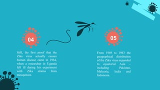 Still, the first proof that the
Zika virus actually causes
human disease came in 1964,
when a researcher in Uganda
fell ill during his experiment
with Zika strains from
mosquitoes.
From 1969 to 1983 the
geographical distribution
of the Zika virus expanded
to equatorial Asia –
including Pakistan,
Malaysia, India and
Indonesia.
04 05
 