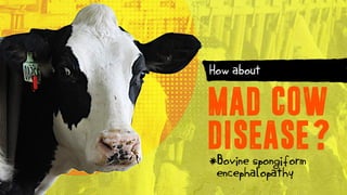 *Bovine spongiform
encephalopathy
MAD COW
DISEASE?
How about
 