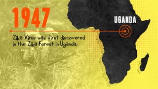 1947 UGANDA
Zika Virus was first discovered
in the Zika Forest in Uganda.
 