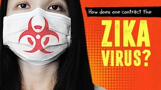 How does one contract the
ZIKA
VIRUS?
 