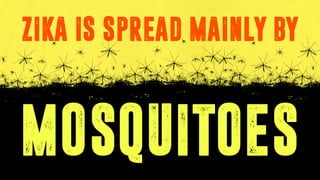 ZIKA IS SPREAD MAINLY BY
MOSQUITOES
 
