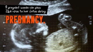 A pregnant woman can pass
Zika virus to her fetus during
PREGNANCY.
 
