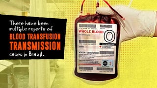 BLOOD TRANSFUSION
There have been
multiple reports of
TRANSMISSION
cases in Brazil.
 
