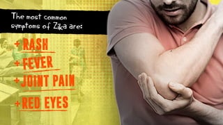 The most common
symptoms of Zika are:
+ RASH
+
FEVER
+JOINT PAIN
+
RED EYES
 
