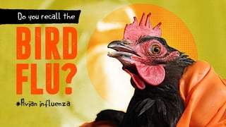 *Avian influenza
BIRD
FLU?
Do you recall the
 