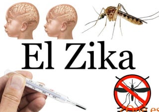 El Zika
 