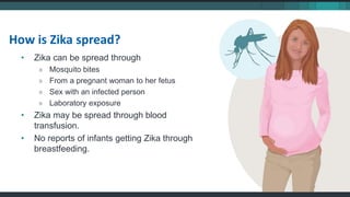 Zika Virus 101 CDC.pptx