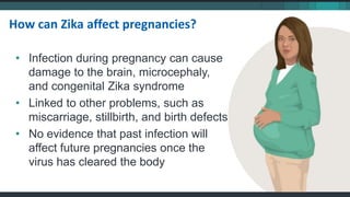 • Infection during pregnancy can cause
damage to the brain, microcephaly,
and congenital Zika syndrome
• Linked to other problems, such as
miscarriage, stillbirth, and birth defects
• No evidence that past infection will
affect future pregnancies once the
virus has cleared the body
How can Zika affect pregnancies?
 