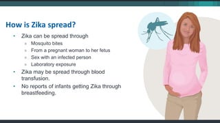 • Zika can be spread through
» Mosquito bites
» From a pregnant woman to her fetus
» Sex with an infected person
» Laboratory exposure
• Zika may be spread through blood
transfusion.
• No reports of infants getting Zika through
breastfeeding.
How is Zika spread?
 