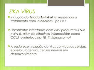 ZIKA VÍRUS
 Indução do Estado Antiviral vs. resistência a
tratamento com Interferons Tipo I e II
 Fibroblastos infectados com ZIKV produzem IFN-α
e IFN-β, além de citocinas inflamatórias como
CCL5 e interleucina-1β (inflamassomo)
 A esclarecer: relação do vírus com outras células:
epitélio urogenital, células neurais em
desenvolvimento
 