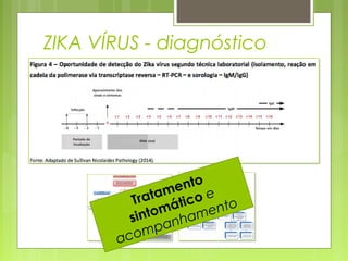 ZIKA VÍRUS - diagnóstico
Tratamento
sintomático e
acompanhamento
 