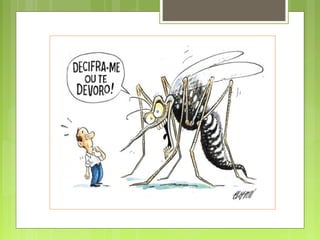 Zika e Chikungunya