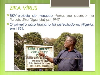 ZIKA VÍRUS
 ZIKV Isolado de macaco rhesus por acasao, na
floresta Zika (Uganda) em 1947
 O primeiro caso humano foi detectado na Nigéria,
em 1954.
 
