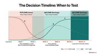 Zika Testing Algorithm Guide to Zika Virus Testing and Diagnostics | PDF