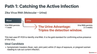 Zika Testing Algorithm Guide to Zika Virus Testing and Diagnostics | PDF